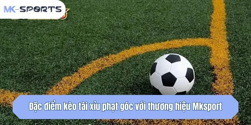 Đặc điểm kèo tài xỉu phạt góc với thương hiệu Mksport