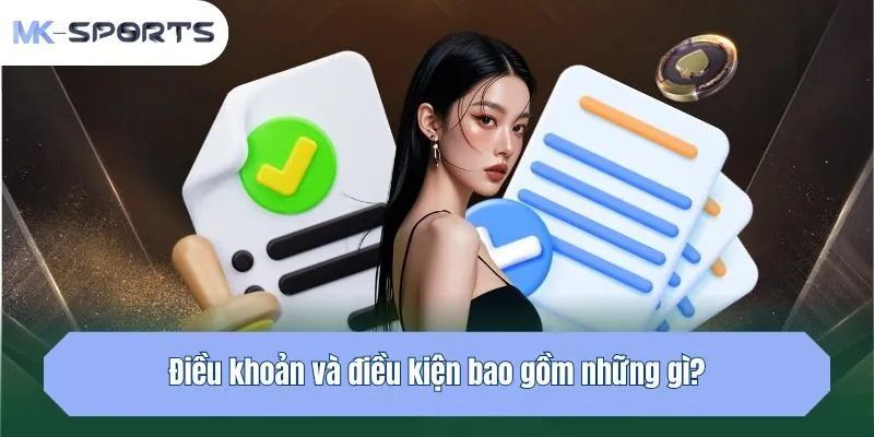 Điều khoản và điều kiện bao gồm những gì?