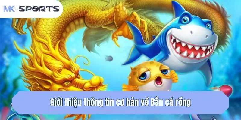 Giới thiệu thông tin cơ bản về Bắn cá rồng