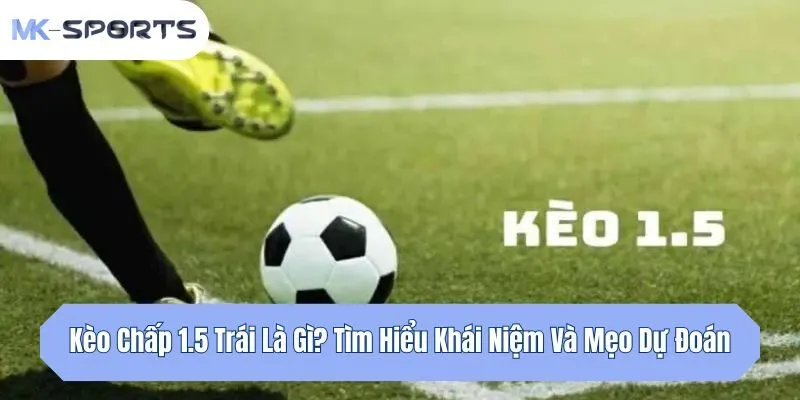 Kèo Chấp 1.5 Trái Là Gì? Tìm Hiểu Khái Niệm Và Mẹo Dự Đoán