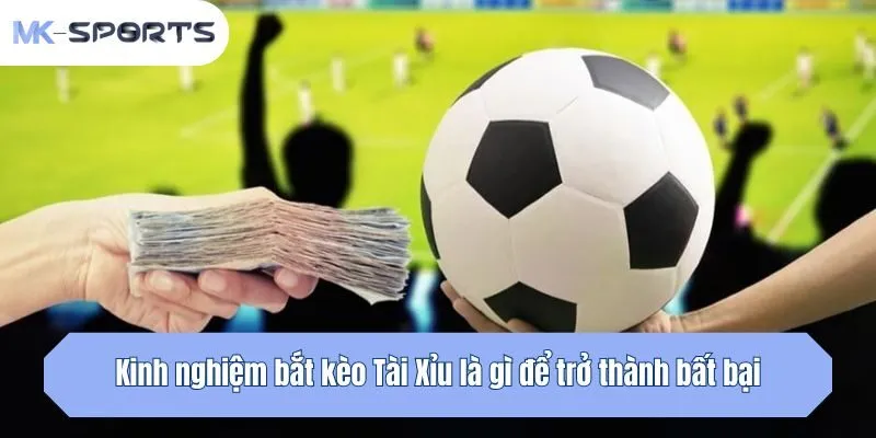 Kinh nghiệm bắt kèo Tài Xỉu là gì để trở thành bất bại