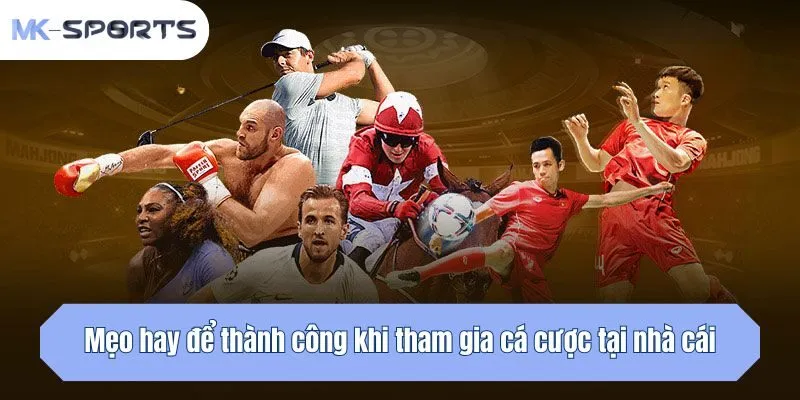 Mẹo hay để thành công khi tham gia cá cược tại nhà cái