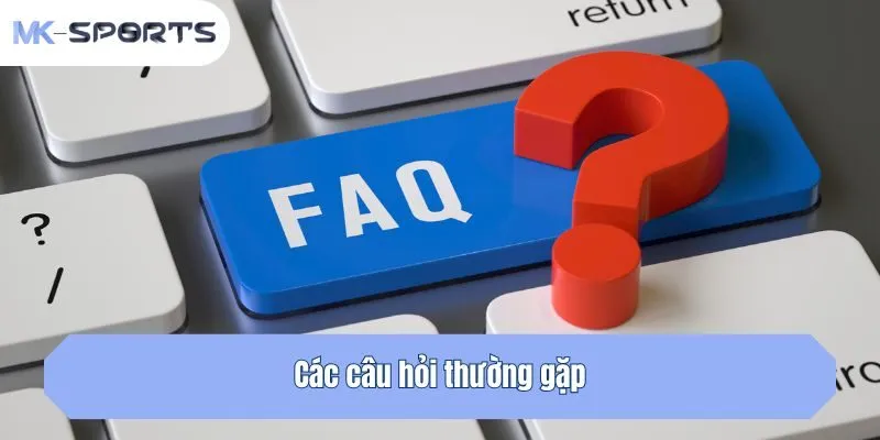 Các câu hỏi thường gặp