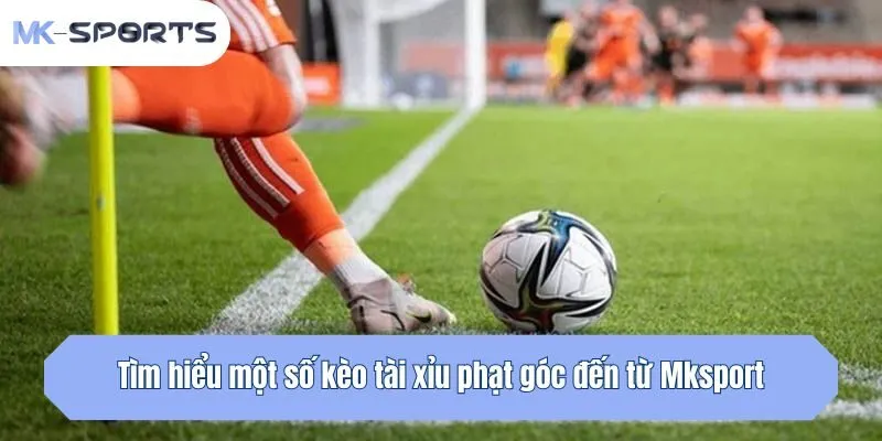 Tìm hiểu một số kèo tài xỉu phạt góc đến từ Mksport