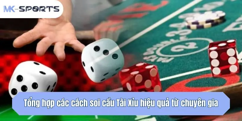 Tổng hợp các cách soi cầu Tài Xỉu hiệu quả từ chuyên gia