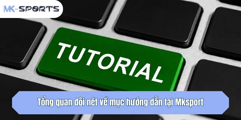 Tổng quan đôi nét về mục hướng dẫn tại Mksport