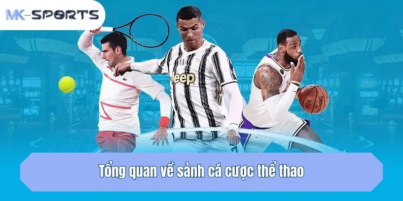 Tổng quan về sảnh cá cược thể thao