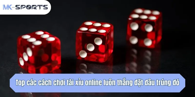 Top các cách chơi tài xỉu online luôn thắng đặt đâu trúng đó